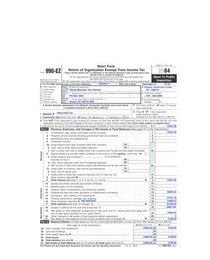 Form 990-EZ 2004