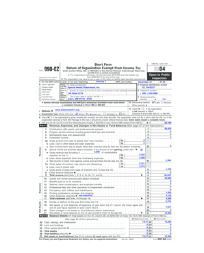 Form 990-EZ 2004