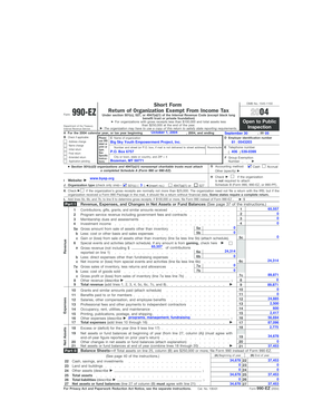 Form 990-EZ 2004