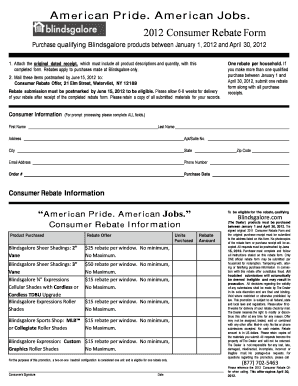 2012 Consumer Rebate Form