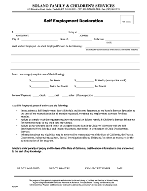 Self Employment Declaration Form
