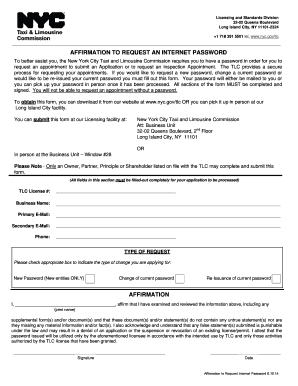 Affirmation to Request Internet Password