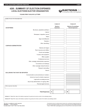 Local Election Expense Summary Form
