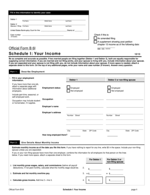 US Bankruptcy Court Income Form