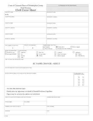 Pennsylvania Adult Name Change Petition