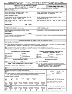 US Bankruptcy Court Voluntary Petition Form B1