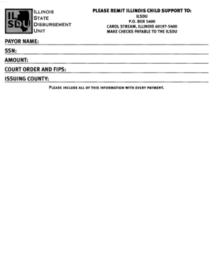 Illinois Child Support Payment Form