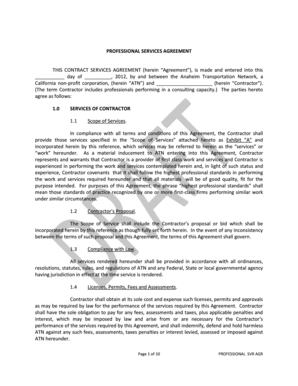 Professional Services Agreement