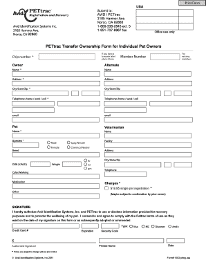 Form preview picture