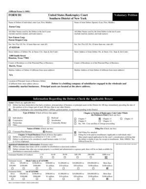 US Bankruptcy Court Voluntary Petition Form B1