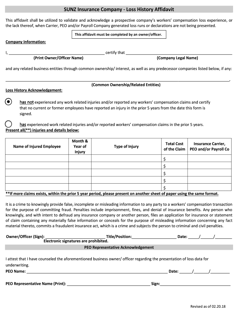 SUNZ Insurance Company Loss History Affidavit Preview on Page 1