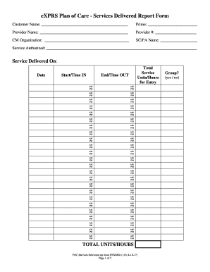 POC Services Delivered rpt form STNDRD (v15; 4-18-17)