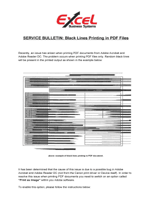 Fillable Online Random Black Lines when Printing PDF Documents.pdf ...