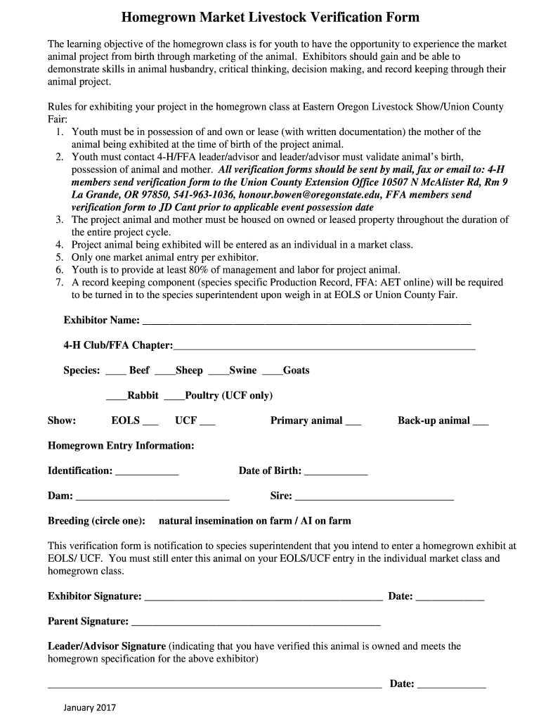 Form preview picture