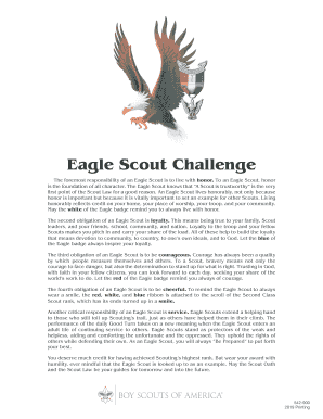 Fillable Online Eagle Scout Ceremony - US Scouting Service Project Fax ...