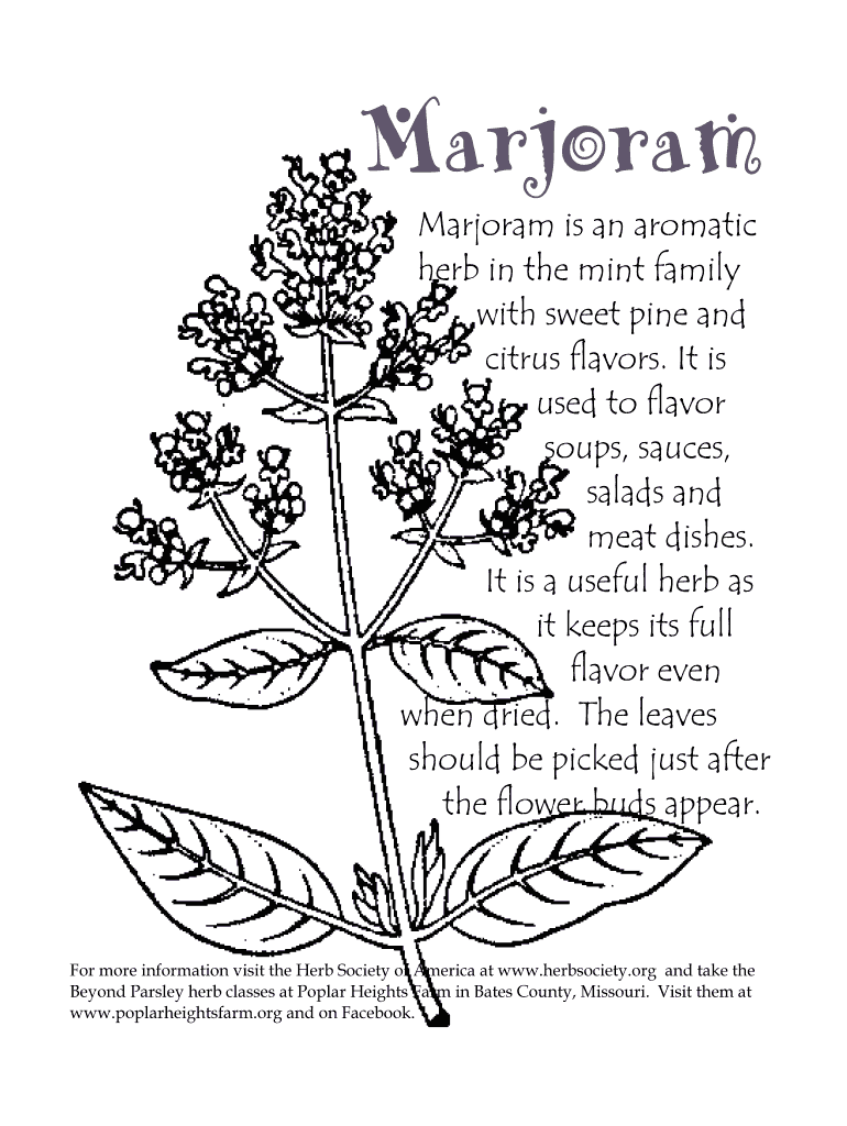 Fillable Online Marjoram is an aromatic herb in the mint family with sweet Fax Email Print