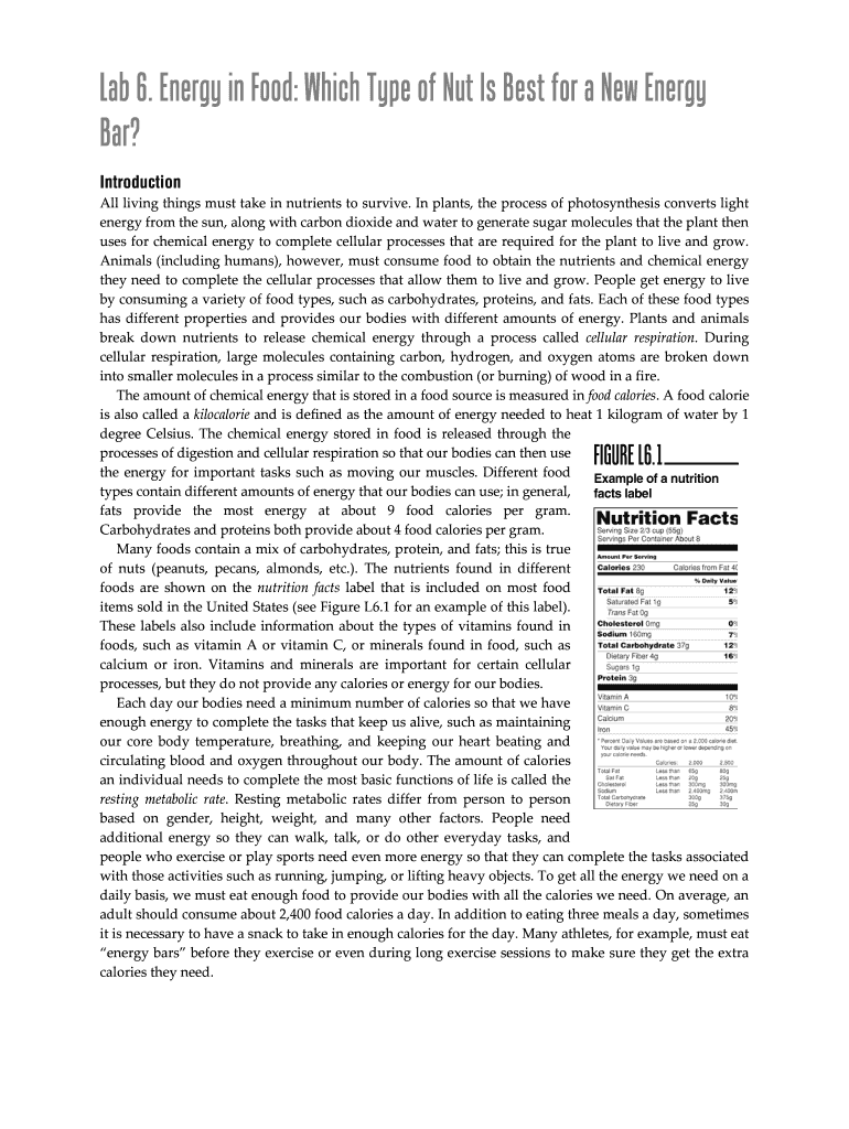 Fillable Online HOW DOES FOOD PROVIDE MY BODY WITH ENERGY? Fax Email Print pdfFiller