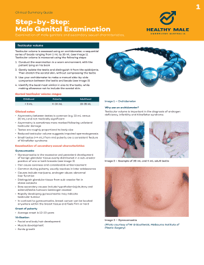 clinical summary guide