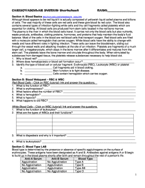 Cardiovascular System Worksheet