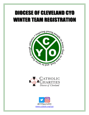 Youth and Young Adult Ministry Office - Catholic Charities ...