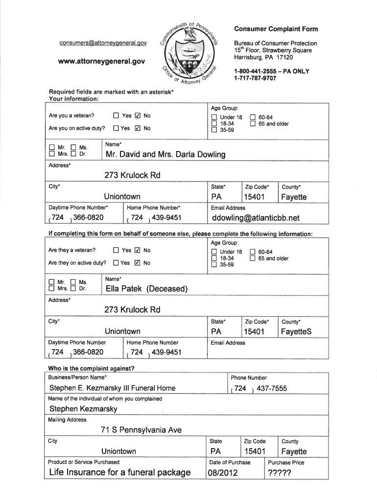 Form preview