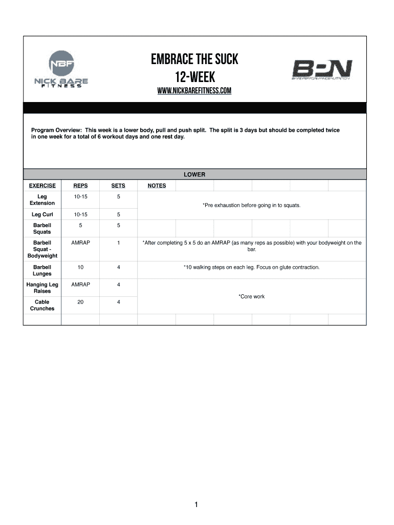 Nick Bare Hybrid Training Program Pdf Fill Out Sign Online DocHub