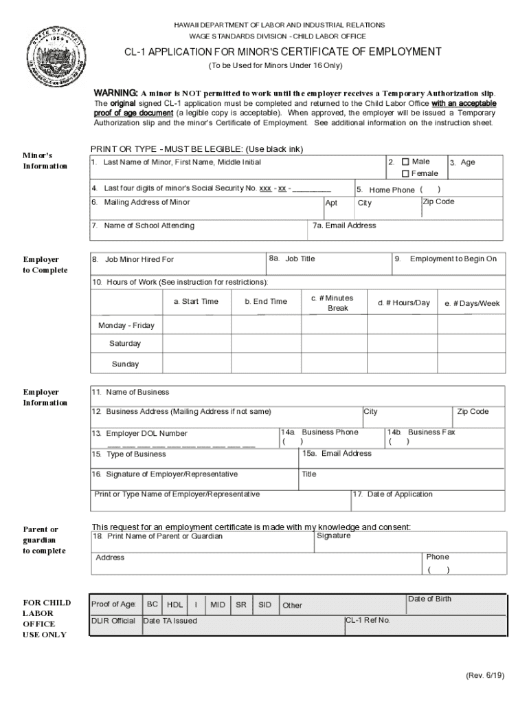 workers permit hawaii Preview on Page 1