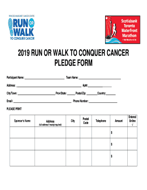 Fillable Online 2018 JOURNEY TO CONQUER CANCER- RUN OR WALK PLEDGE FORM ...
