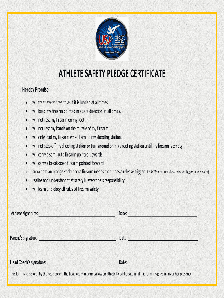 Safety Pledge Certificate - Fill and Sign Printable Template Within Safe Driving Certificate Template Safety Pledge Certificate - Fill and Sign Printable Template Within Safe Driving Certificate Template