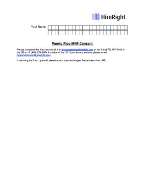 Puerto Rico MVR Consent Form