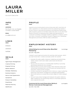 Account Executive Resume Sample & Writing Guide