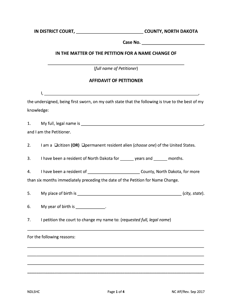nd-affidavit-of-petitioner-2017-fill-and-sign-printable-template