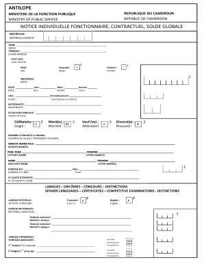 Form preview picture