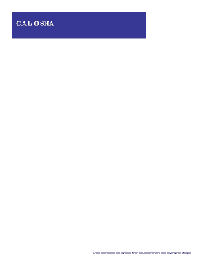 Cal/OSHA Form 300A Injury Summary