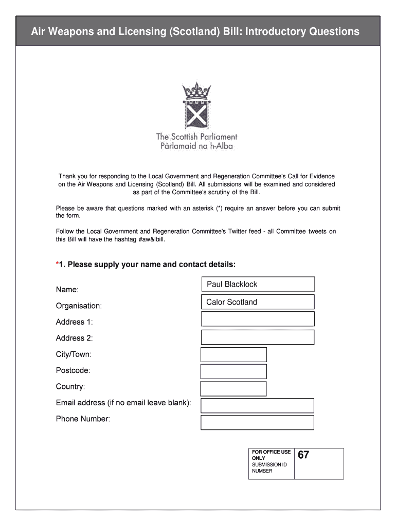 Form preview