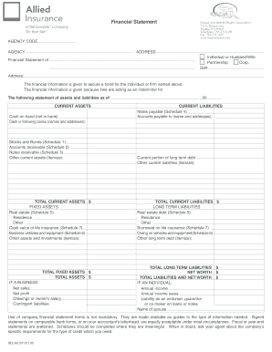 Financial Statement for Bond Indemnification