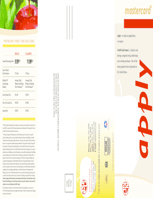 Mastercard Credit Card Application