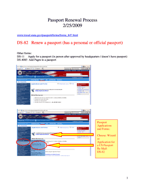US Passport Renewal Form DS-82