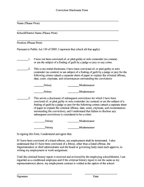 Michigan Conviction Disclosure Form