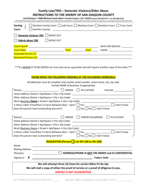 California Domestic Violence TRO Instructions