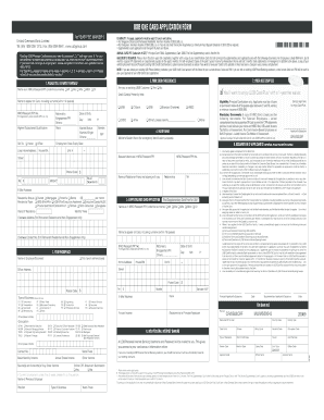 UOB One Card Application Form