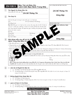 California Domestic Violence Restraining Order Response Form