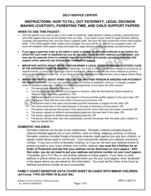 Arizona Paternity Legal Decision Making Form