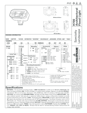 H700 Specialty Flood Light Order Form