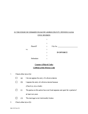 Counter-Affidavit Under Divorce Code