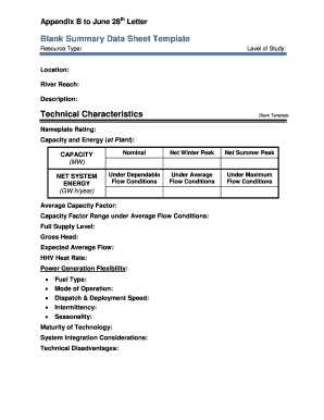 Blank Summary Data Sheet Template
