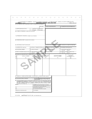 Fillable Online SHIPPER'S EXPORT DECLARATION - Labelmaster Fax Email ...
