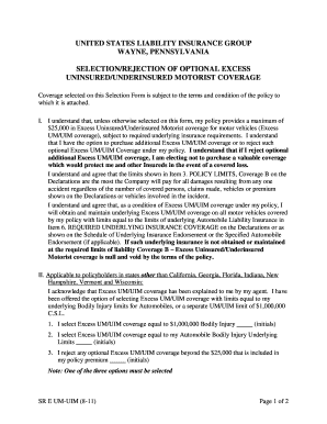 Excess Uninsured/Underinsured Motorist Coverage Selection Form