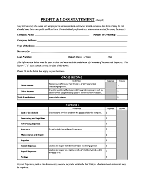 Profit and Loss Statement