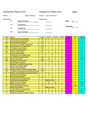 Assessment Report Form